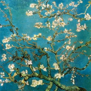 Almond Branches in Bloom, San Remy, c.1890