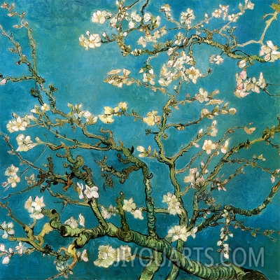 Almond Branches in Bloom, San Remy, c.1890