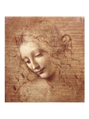 leonardo da vinci female head la scapigliata c 1508