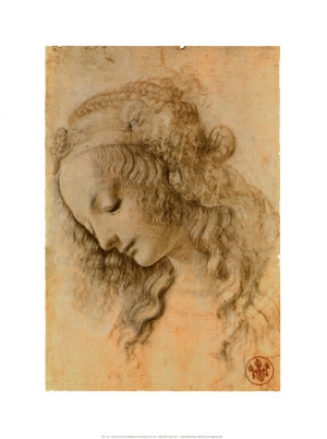 leonardo da vinci testa di giovinetta