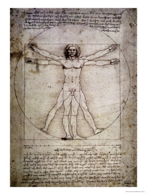 leonardo da vinci vitruvian man c 1492