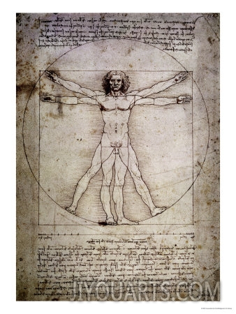 leonardo da vinci vitruvian man c 1492