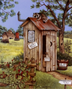 kay lamb shannon outhouse raccoon