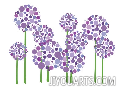 avalisa purple allium