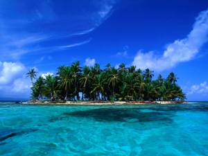 alfredo maiquez coconut palm trees on key in san blas islands panama