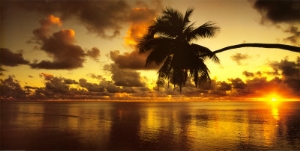 peter hendrie aitutaki lagoon cook islands