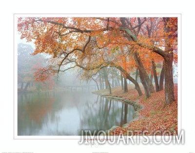 mike jones autumn reflections