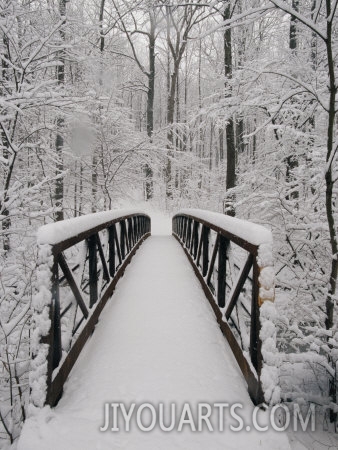 richard nowitz a view of a snow covered bridge in the woods