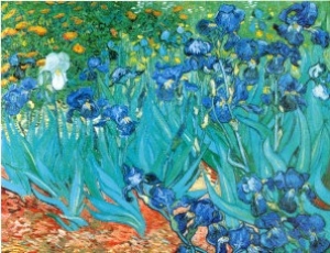 Irises, c.1889