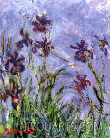 Irises