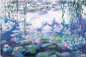 Water Lilies