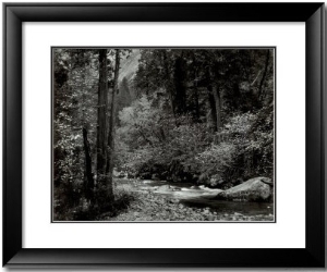 Tenaya Creek, Dogwood, Rain, Yosemite National Park, Ca 1948