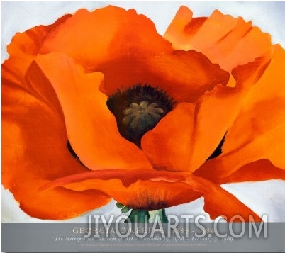 Red Poppy