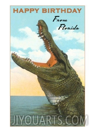 Happy Birthday from Florida, Alligator