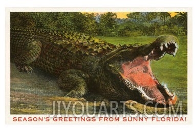 Seasons Greetings from Sunny Florida, Alligator