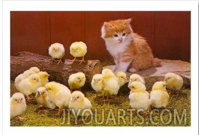 Kitten with Chicks