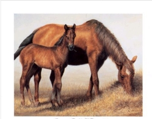 Mare and Foal