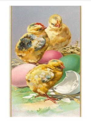 Three Chicks and Eggs