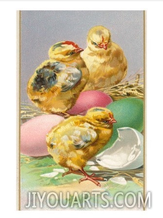 Three Chicks and Eggs