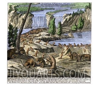 Beavers at Work Below Niagara Falls, 18th Century