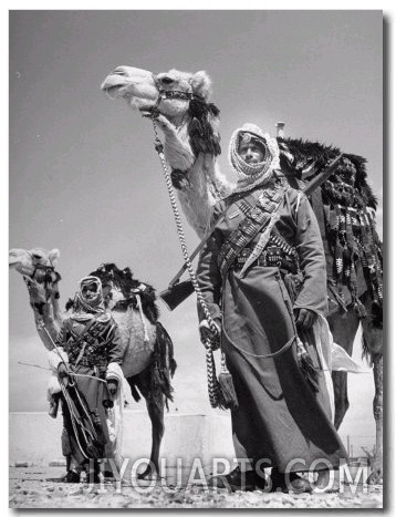 Arab Soldiers Standing Guard with Their Camels