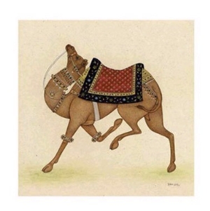 Camel from India I