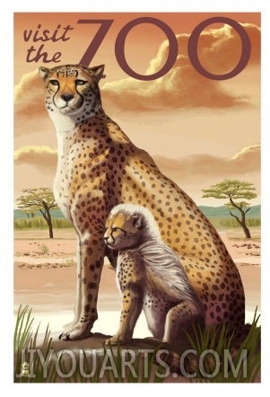 Visit the Zoo, Cheetah View