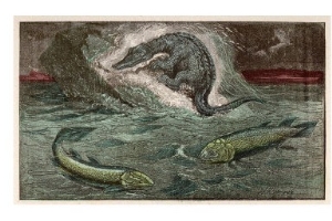 Protosaurus and Two of the Marine Creatures from Which It Developed, Holoptychius and Osteolepis