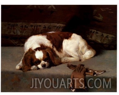 King Charles Spaniel Resting