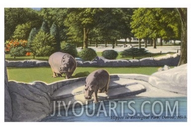 Hippopotamus in Zoo, Detroit, Michigan