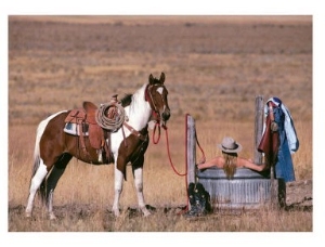 Cowgirl in Heaven