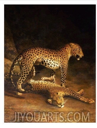 Two Leopards Lying in the Exeter Exchange, 1808