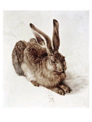 The Young Hare