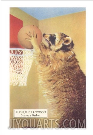 Raccoon Playing Basketball