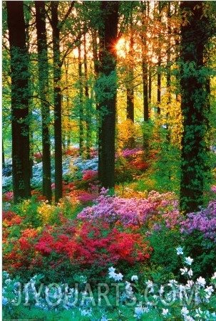 Flower Forest