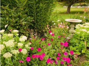 Birdbath and Flowers, Oakland House Seaside Resort, Brooksville