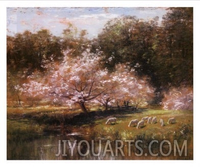 Sheep Grazing Under Apple Blossoms