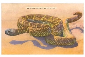 Seven Foot Rattler, Ole Southwest