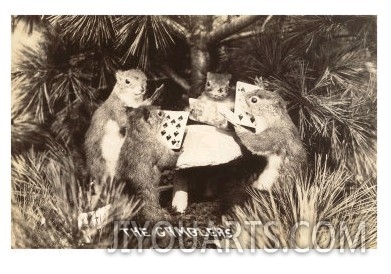 Gambling Squirrels