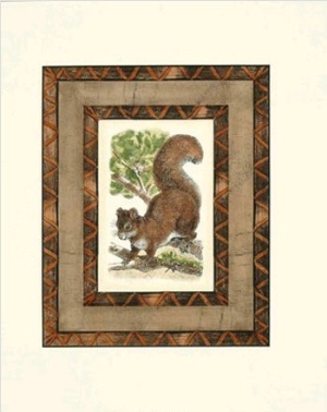 Rustic Squirrel