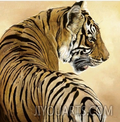 Bengal Tiger, (Panthera Tigris Tigris), Bandhavgarh, Madhya Pradesh, India