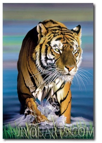 Tiger in Water