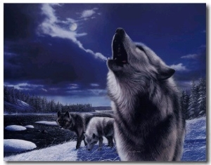 Howling Wolves