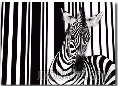 Zebra I