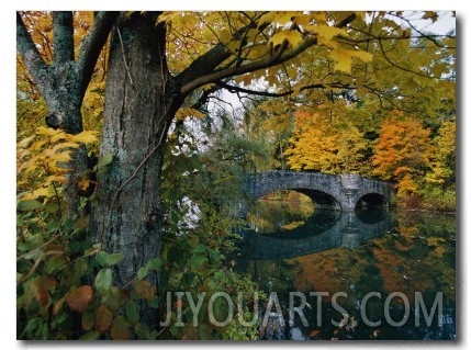 Autumnal View of a Stone Bridge