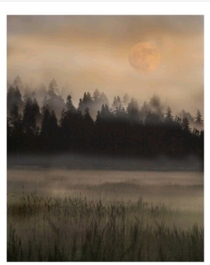 Misty Moonscape
