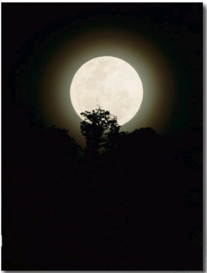Moonrise in Parc Des Volcans