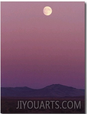 The Moon Shines over the Landscape at Twilight