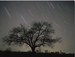 Star Trails, 20 Minutes Exposure Time, Pusztaszer, Hungary