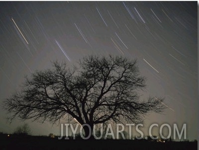 Star Trails, 20 Minutes Exposure Time, Pusztaszer, Hungary